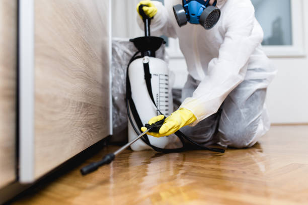 Best Pest Inspection Near Me  in Columbia, IL