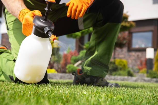 Best Pest Removal Services  in Columbia, IL
