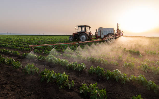 Professional Pest Control in Columbia, IL