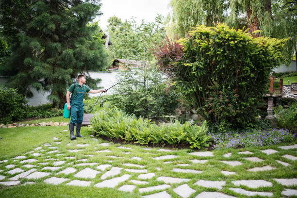 Best Local Pest Control Services  in Columbia, IL