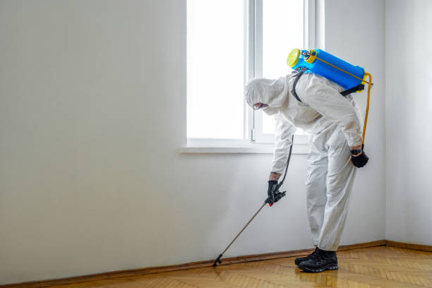 Pest Control for Restaurants in Columbia, IL