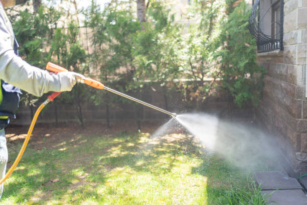 Reliable Columbia, IL Pest Control Solutions