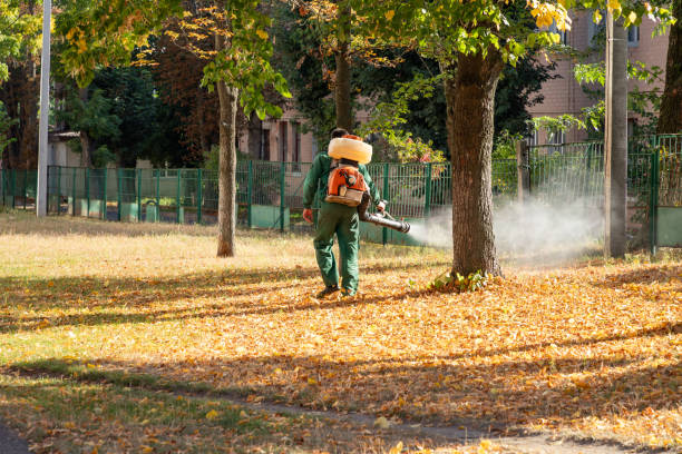 Best Emergency Pest Control  in Columbia, IL