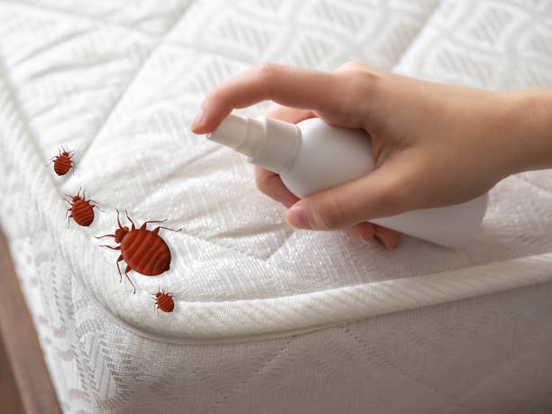 Best Local Pest Control Services  in Columbia, IL