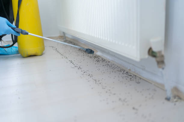 Best Affordable Pest Control Services  in Columbia, IL